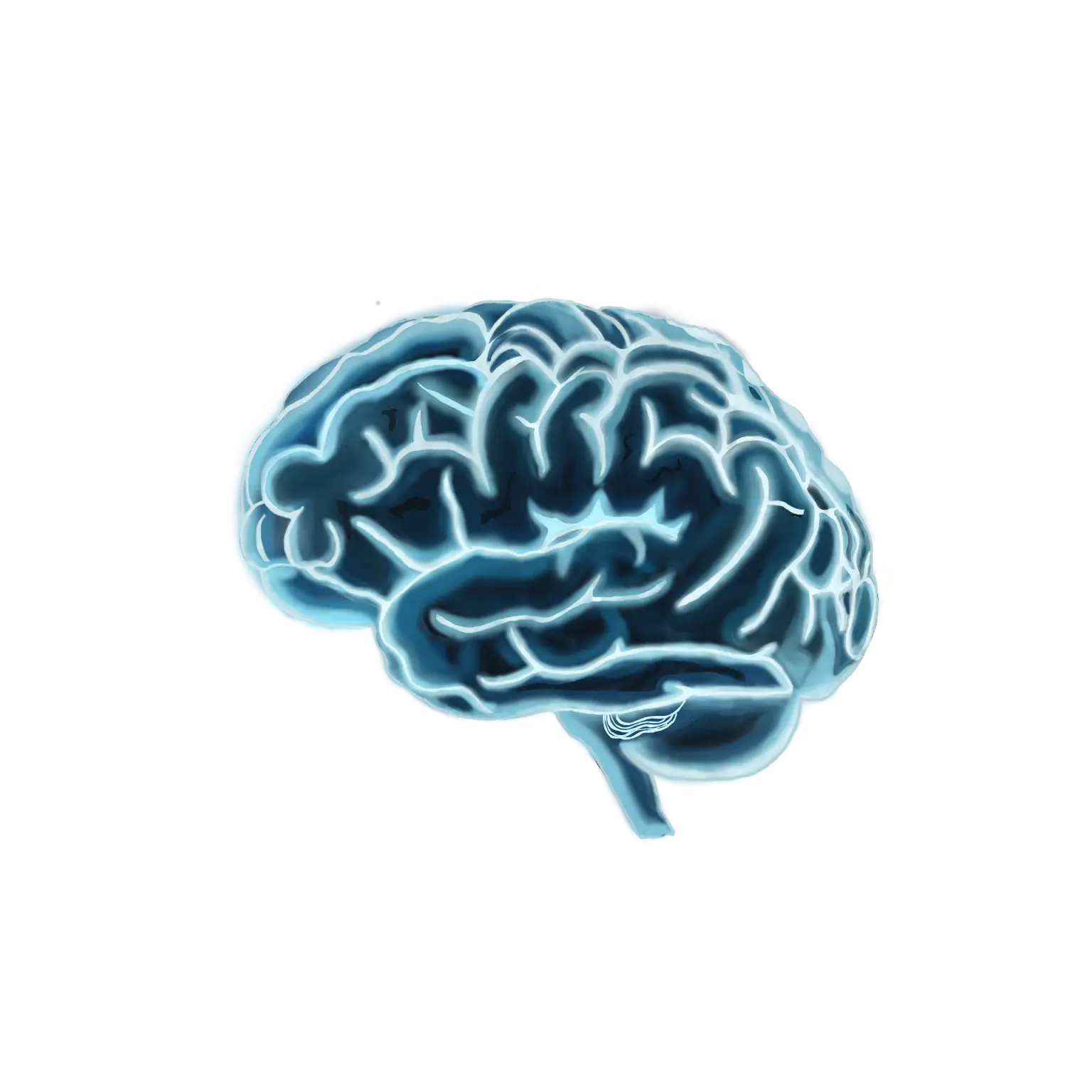 Focus Flow Software Logo